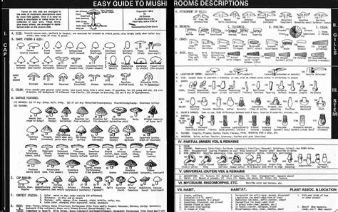 alabama mushroom guide