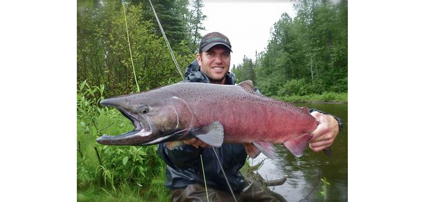 Alaska salmon fishing trip