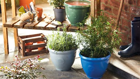 aldi flower pots