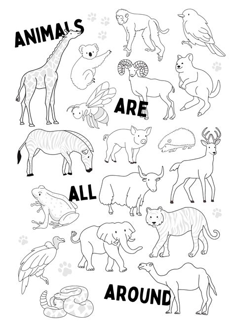 all animals coloring pages