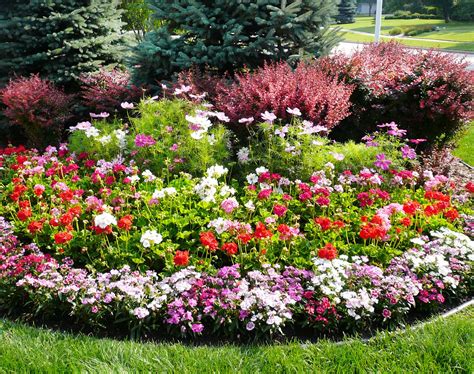 all year round plants for troughs