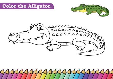 alligator coloring