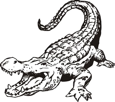 alligator coloring page free printable