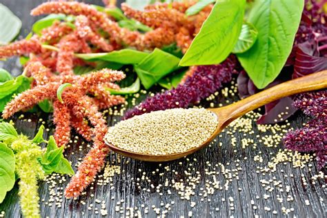 Amaranth and Fruit or Vegetable Combinations