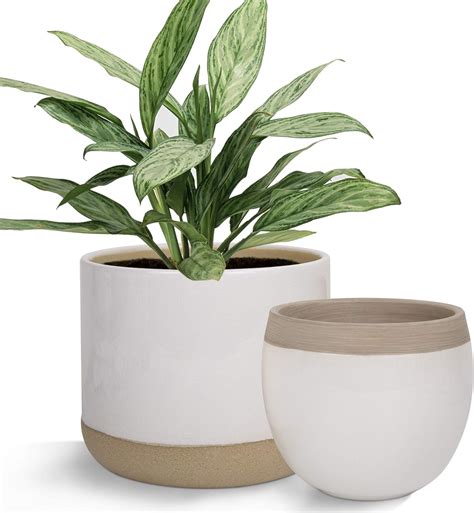 amazon plant pots indoor