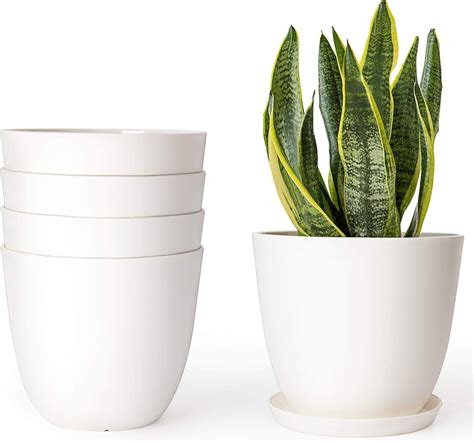 amazon plant pots indoor