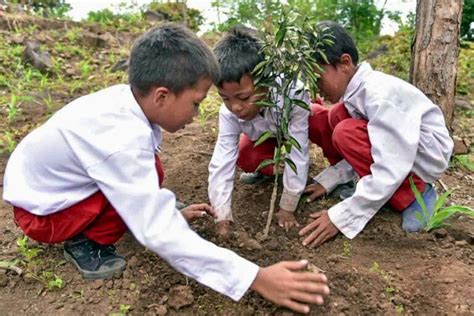 anak bersama tumbuhan