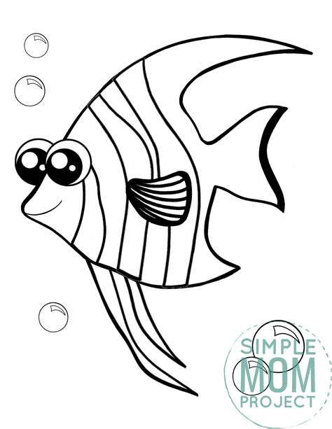 angelfish coloring pages