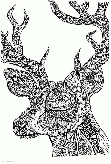 animal coloring pages for adults free printable