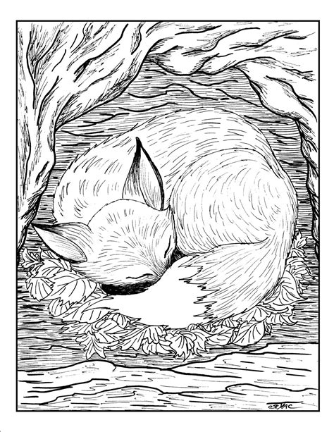animal nature adult coloring books