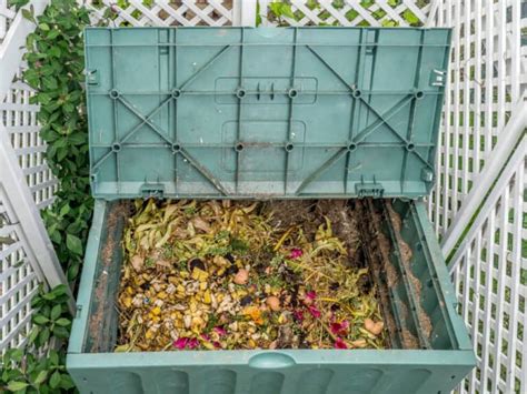 animal proof compost bin