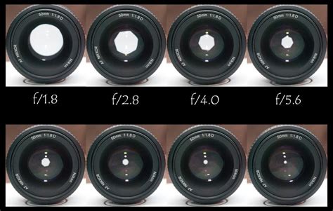 Aperture dan Depth of Field pada Kamera Canon