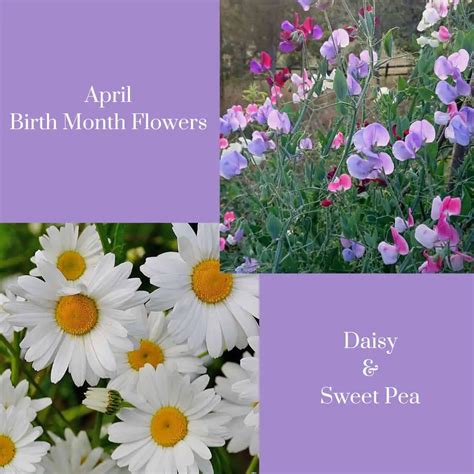 april flower of the month