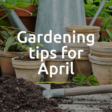 april gardening tips