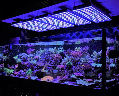 lampu aquarium
