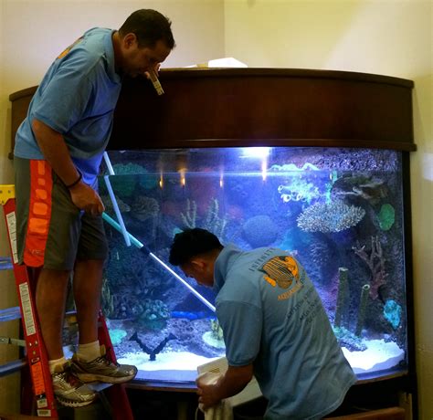 Aquarium maintenance