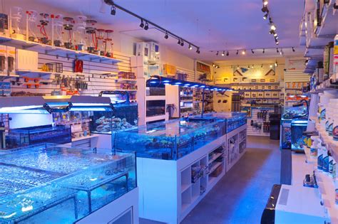 Aquarium store location