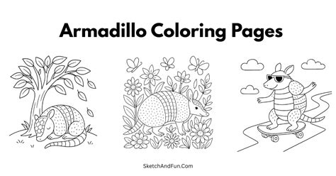 armadillo coloring pages
