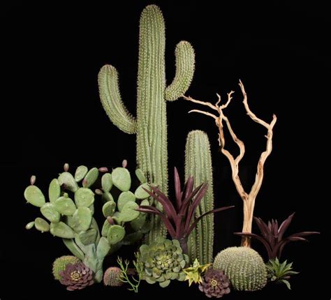 artificial cactus