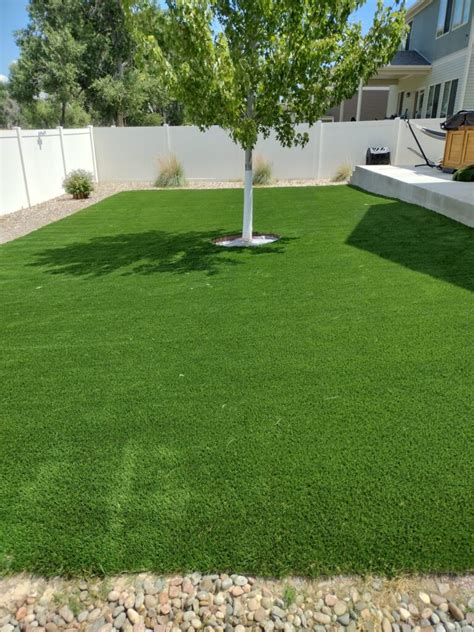 artificial grass near trees