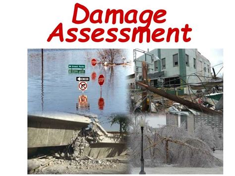 assess the damage