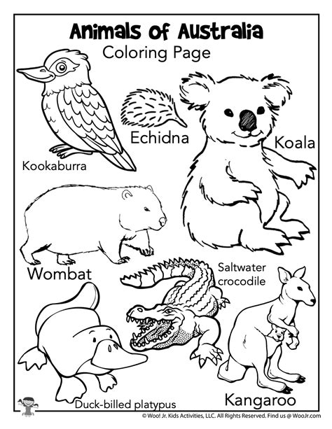 australian animals coloring pages