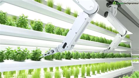 automated vertical farming
