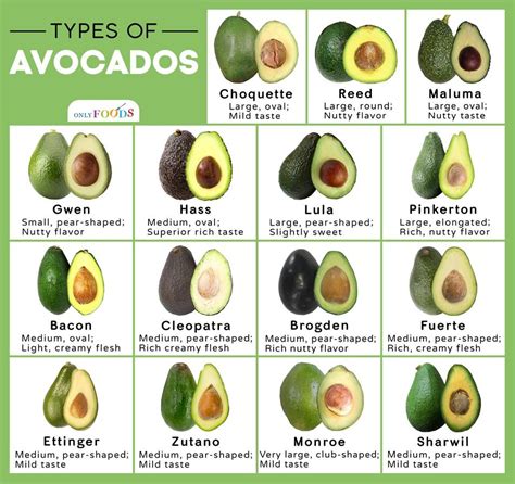 Avocado Variety Chart