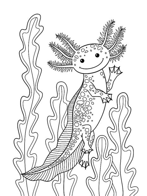 axolotl coloring page free