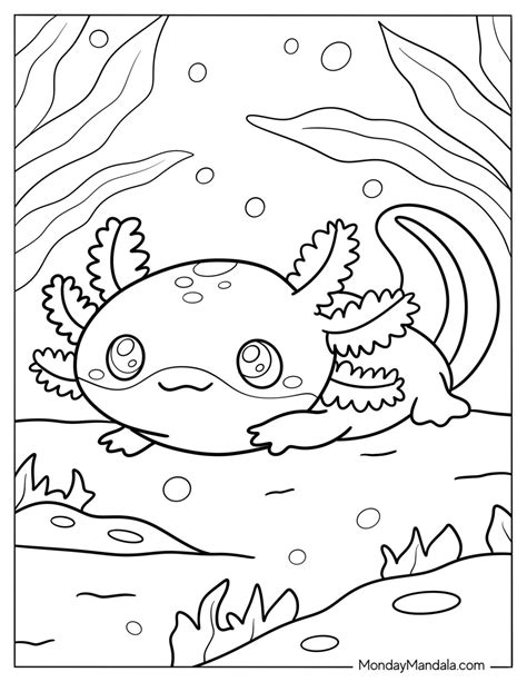 axolotl colouring