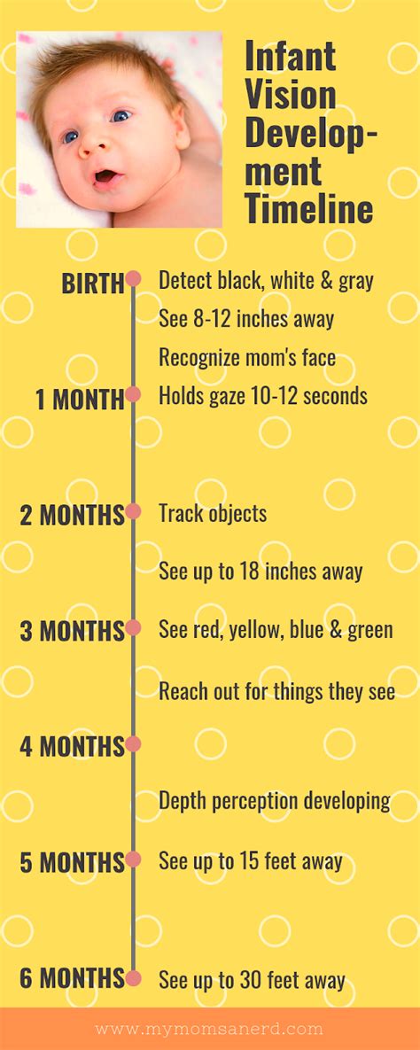 Baby Vision Development Chart