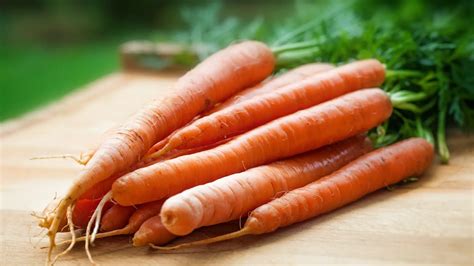 bad companion plants for carrots