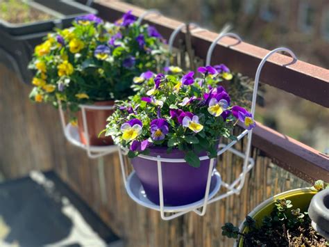 balcony plant pots