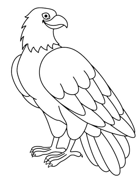 bald eagle coloring page pdf