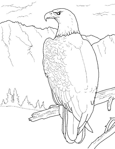 bald eagle coloring pages