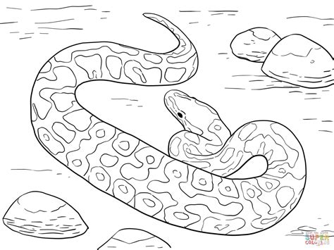 ball python coloring pages