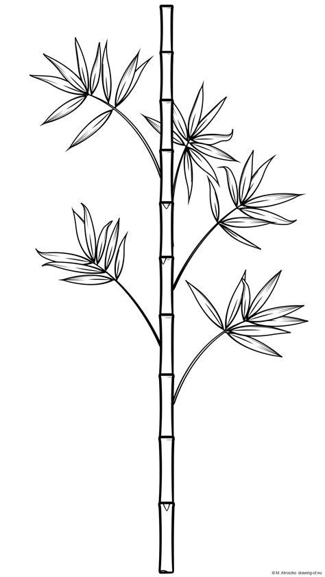 bamboo coloring pages