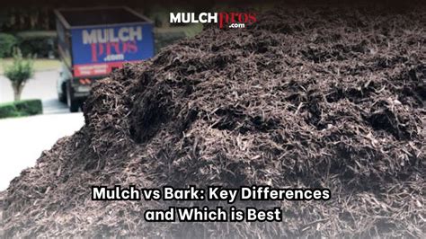bark dust vs mulch