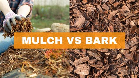 bark vs mulch