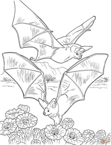 bat coloring pages