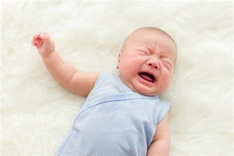 Bayi Kembung