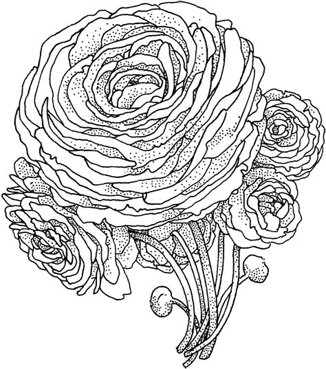 beautiful flower coloring pages