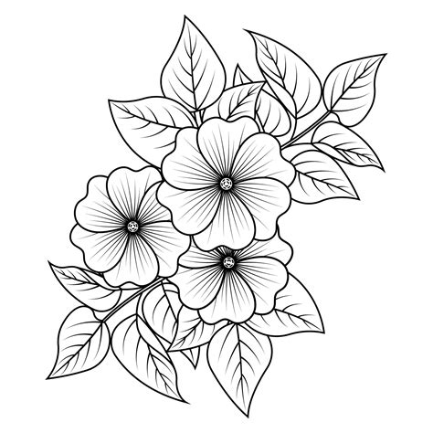 beautiful flower colouring pages