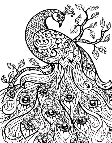 beautiful peacock coloring pages