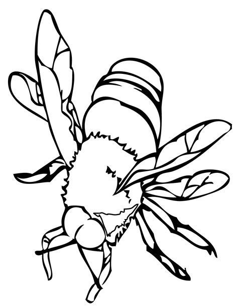 bee coloring pages free