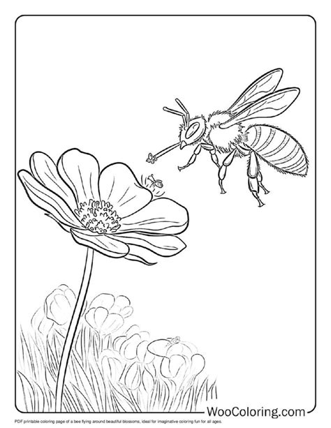 bee coloring sheets