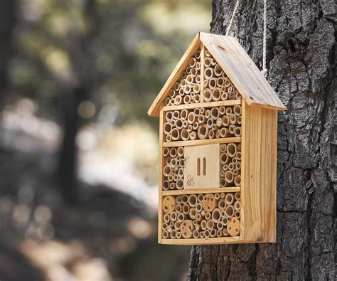 bee hotels