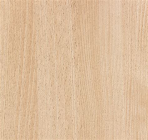 beech color
