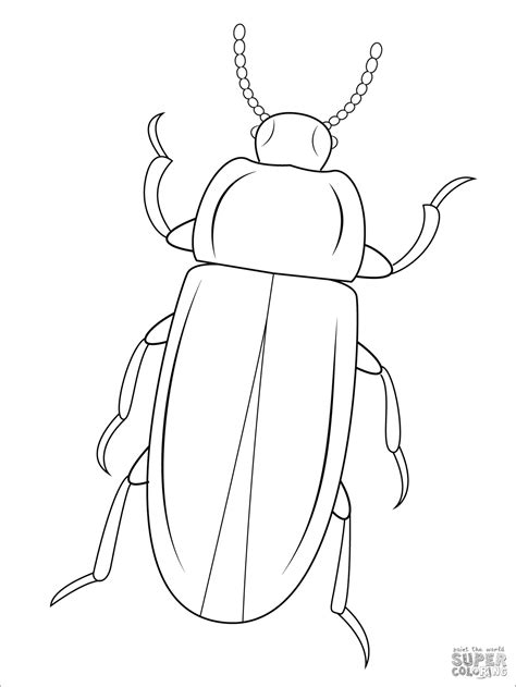 beetle coloring pages