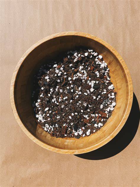 begonia soil mix